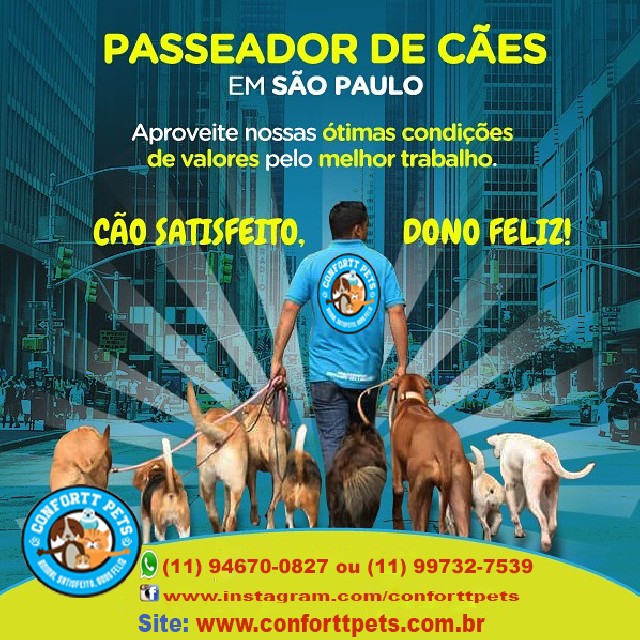 Passeadores de cães em sp
