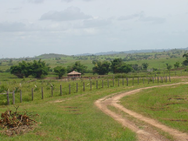 Foto 1 - Fazenda em jacundá